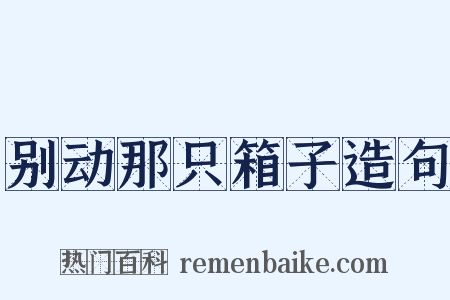 别动那只箱子造句是什么意思的图片